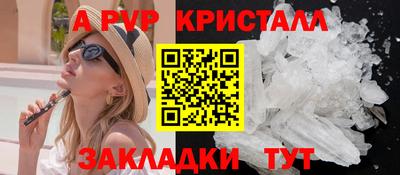 дмт Кингисепп