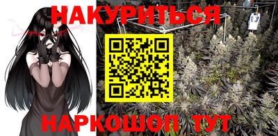 дмт Кингисепп