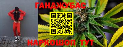 дмт Кингисепп
