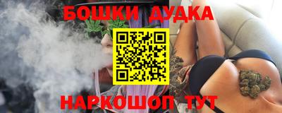 дмт Кингисепп