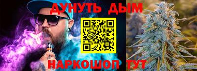 дмт Кингисепп