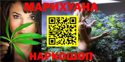 дмт Кингисепп