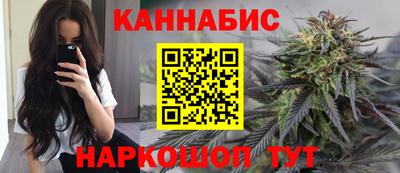 дмт Кингисепп