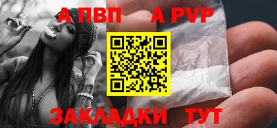 дмт Кингисепп