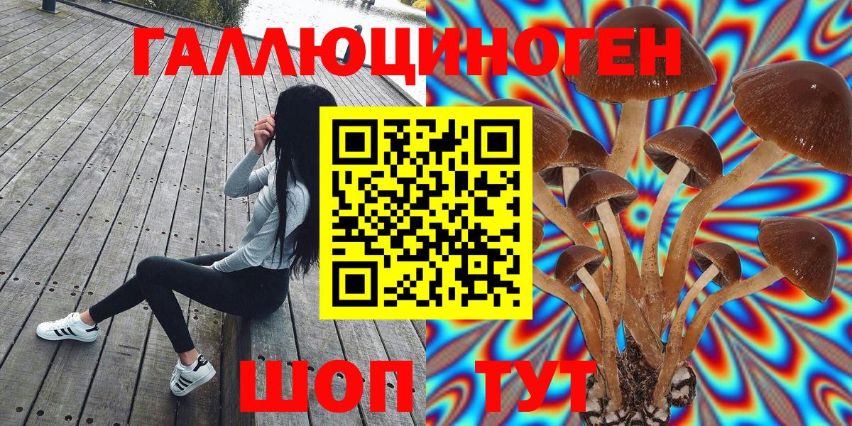 Галлюциногенные грибы Cubensis  Вход с VPN  Королёв 